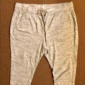 NWOT Ann Taylor LOFT XL Sweatpants